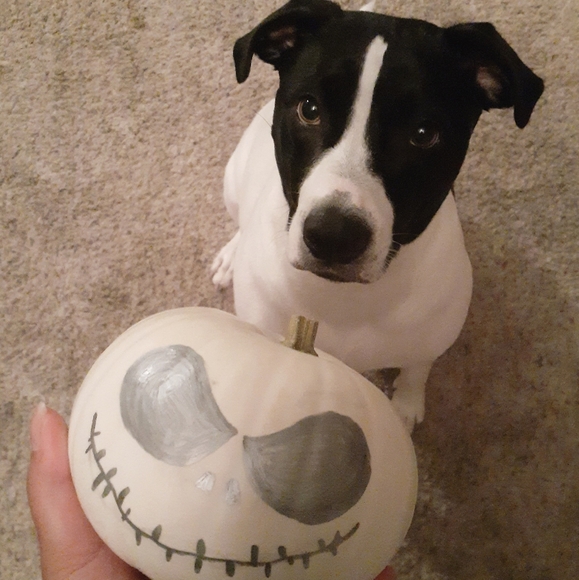 Meet your seller - Picture 2 of 4